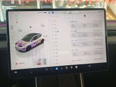 Tesla Model Y Rear-Wheel Drive - ფოტო 15