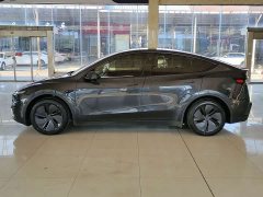 Tesla Model Y Rear-Wheel Drive - ფოტო 8