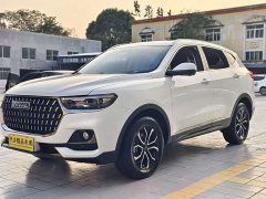 Haval H6 2023 National Trend Edition 1.5T Automatic Champion Version - ფოტო 1