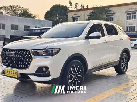 2024 Haval H6 2023 National Trend Edition 1.5T Automatic Champion Version - ავტომობილი ჩინეთიდან