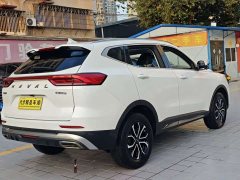 Haval H6 2023 National Trend Edition 1.5T Automatic Champion Version - ფოტო 19