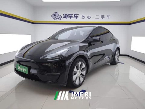 2021 Tesla Model Y Standard Range RWD - ავტომობილი ჩინეთიდან