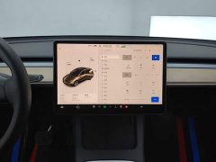 Tesla Model Y Standard Range RWD - ფოტო 13