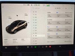 Tesla Model Y Standard Range RWD - ფოტო 14