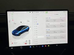 Tesla Model 3 2023 Rear-Wheel Drive - ფოტო 15