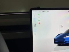 Tesla Model 3 2023 Rear-Wheel Drive - ფოტო 20