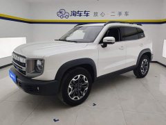 Great Wall Dachshund 2024 2.0T DCT Chinese Rural Dog Edition - ფოტო 1