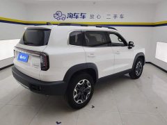 Great Wall Dachshund 2024 2.0T DCT Chinese Rural Dog Edition - ფოტო 3