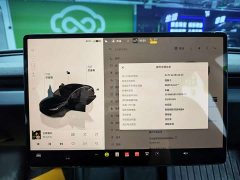 Tesla Model 3 Rear-Wheel Drive - ფოტო 13