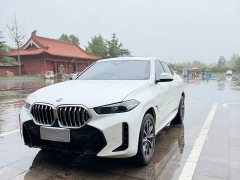 BMW X6 2023 xDrive30i M Sport Package - ფოტო 1