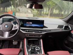 BMW X6 2023 xDrive30i M Sport Package - ფოტო 14