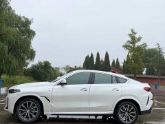 BMW X6 2023 xDrive30i M Sport Package - ფოტო 3