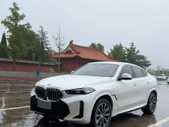 BMW X6 2023 xDrive30i M Sport Package - ფოტო 4