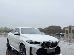 BMW X6 2023 xDrive30i M Sport Package - ფოტო 5