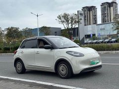 Wuling Binguo 333km Lingxi Connected Edition - ფოტო 3