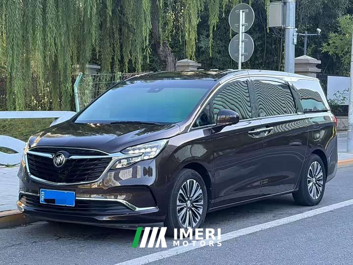 Buick GL8 ES Land Respect 653T Luxury - ავტომობილი ჩინეთიდან