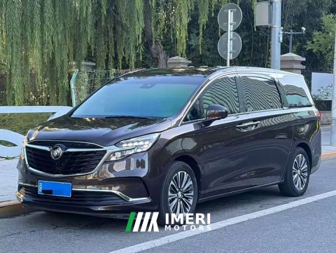 2021 Buick GL8 ES Land Respect 653T Luxury - ავტომობილი ჩინეთიდან