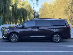 Buick GL8 ES Land Respect 653T Luxury - ფოტო 16