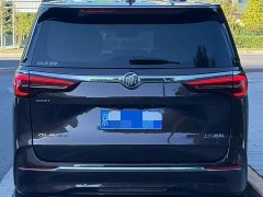 Buick GL8 ES Land Respect 653T Luxury - ფოტო 19