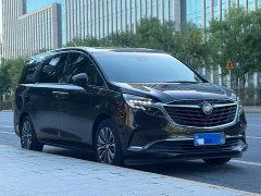 Buick GL8 ES Land Respect 653T Luxury - ფოტო 3