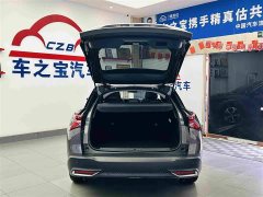 Dongfeng Versailles C5 X 2022 1.6T Enjoy Extraordinary Tiger Year Special Edition - ფოტო 10
