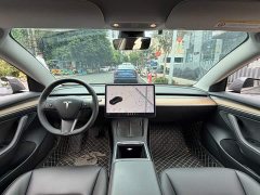 Tesla Model 3 Facelift Standard Range RWD Upgrade 3D1 - ფოტო 13