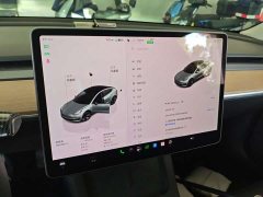 Tesla Model 3 2022 Rear-Wheel Drive - ფოტო 4