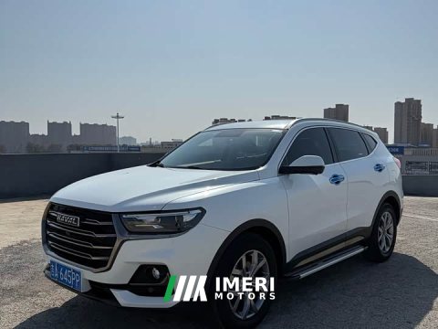 2021 Haval H6 National Trend 1.5GDIT Automatic Champion Edition - ავტომობილი ჩინეთიდან