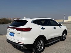Haval H6 National Trend 1.5GDIT Automatic Champion Edition - ფოტო 15