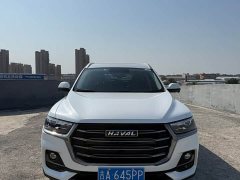 Haval H6 National Trend 1.5GDIT Automatic Champion Edition - ფოტო 2