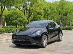 Tesla Model Y 2022 Rear-Wheel Drive - ფოტო 1