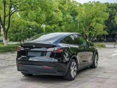 Tesla Model Y 2022 Rear-Wheel Drive - ფოტო 5