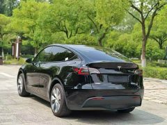 Tesla Model Y 2022 Rear-Wheel Drive - ფოტო 6