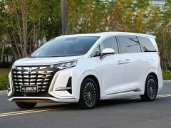 Denza BYD Denza D9 DM-i 1040 Premium - ფოტო 1