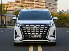 Denza BYD Denza D9 DM-i 1040 Premium - ფოტო 2