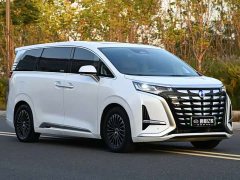 Denza BYD Denza D9 DM-i 1040 Premium - ფოტო 3