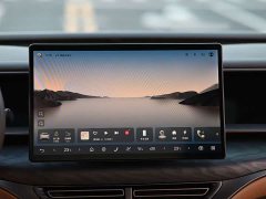 Denza BYD Denza D9 DM-i 1040 Premium - ფოტო 8
