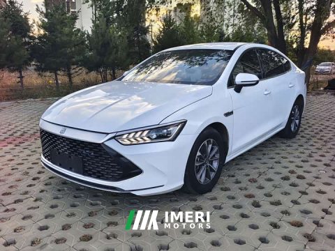 2024 BYD Qin PLUS Glory Edition DM-i 55KM Leading - ავტომობილი ჩინეთიდან