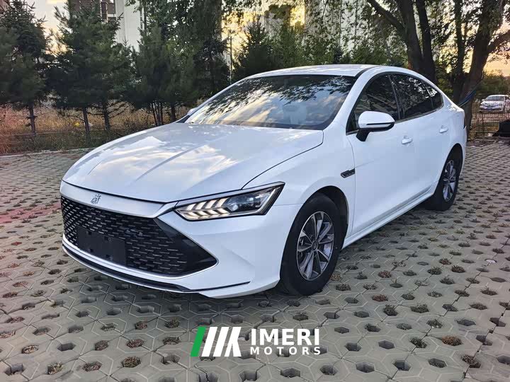 BYD Qin PLUS Glory Edition DM-i 55KM Leading