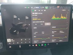 Tesla Model 3 Rear-Wheel Drive - ფოტო 9