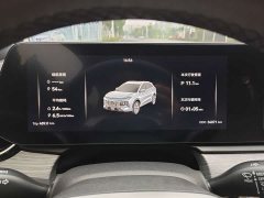 Jac Jianghuai QX PHEV 120km Sport Enjoy Edition - ფოტო 20