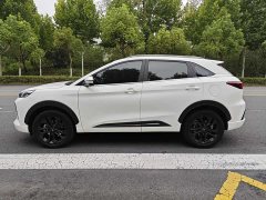 Jac Jianghuai QX PHEV 120km Sport Enjoy Edition - ფოტო 3
