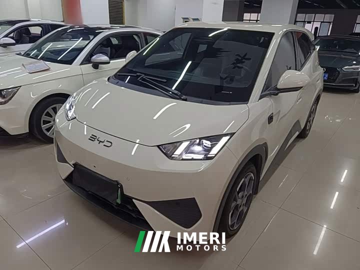 BYD Seagull 2023 Freedom Edition - ავტომობილი ჩინეთიდან