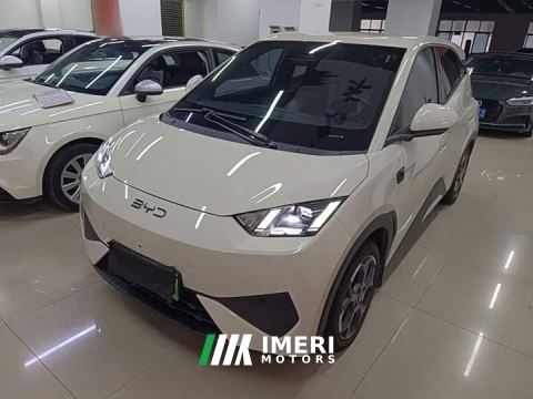 2026 BYD Seagull Freedom Edition