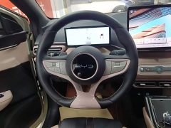 BYD Seagull 2023 Freedom Edition - ფოტო 11