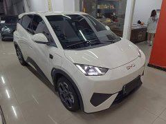 BYD Seagull 2023 Freedom Edition - ფოტო 4