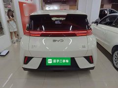 BYD Seagull 2023 Freedom Edition - ფოტო 6