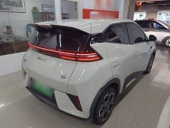 BYD Seagull 2023 Freedom Edition - ფოტო 7
