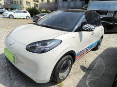 Wuling Binguo 333km Joy Edition - ფოტო 1