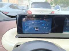 Wuling Binguo 333km Joy Edition - ფოტო 8